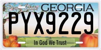 GA license plate PYX9229