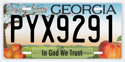 GA license plate PYX9291