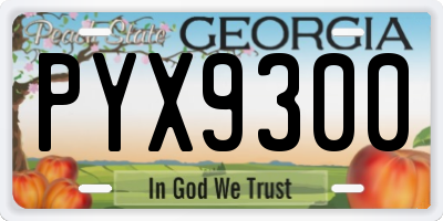 GA license plate PYX9300
