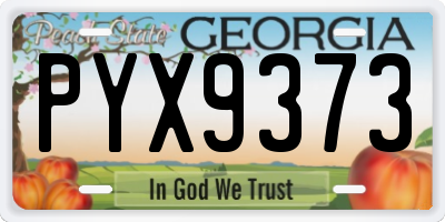 GA license plate PYX9373