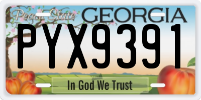 GA license plate PYX9391