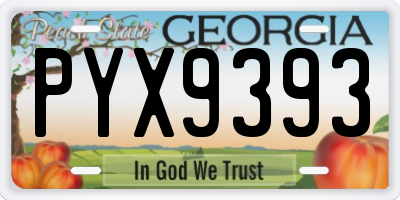 GA license plate PYX9393