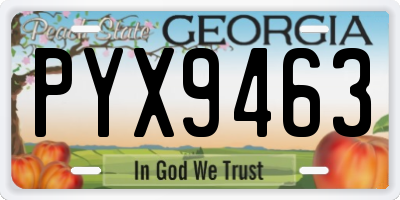 GA license plate PYX9463