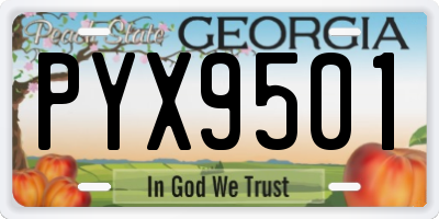 GA license plate PYX9501