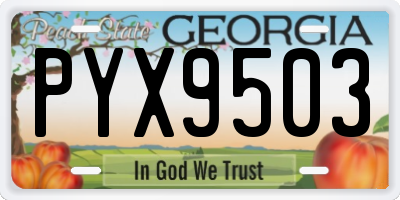GA license plate PYX9503