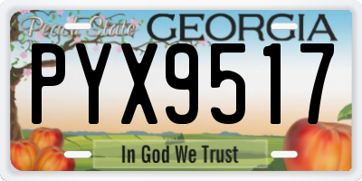GA license plate PYX9517