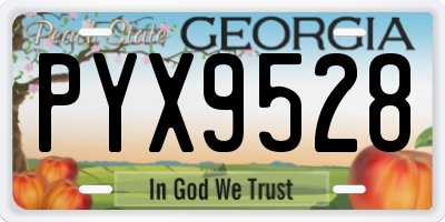 GA license plate PYX9528