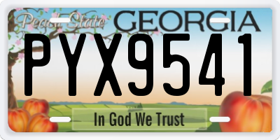 GA license plate PYX9541