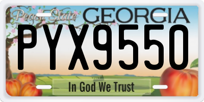 GA license plate PYX9550