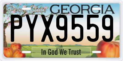 GA license plate PYX9559