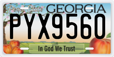 GA license plate PYX9560