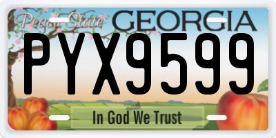 GA license plate PYX9599