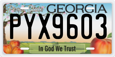 GA license plate PYX9603