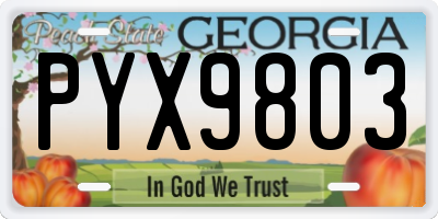 GA license plate PYX9803