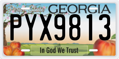 GA license plate PYX9813