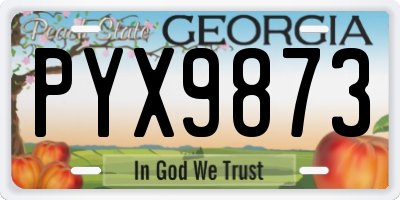 GA license plate PYX9873