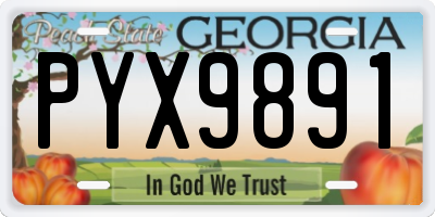 GA license plate PYX9891