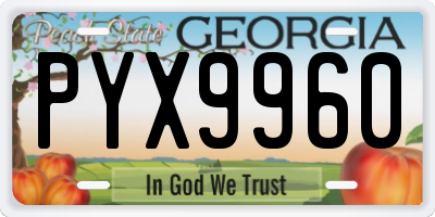 GA license plate PYX9960
