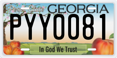 GA license plate PYY0081