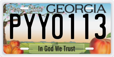 GA license plate PYY0113