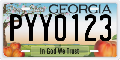 GA license plate PYY0123