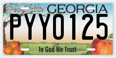 GA license plate PYY0125