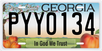 GA license plate PYY0134