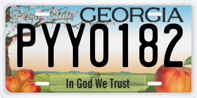 GA license plate PYY0182