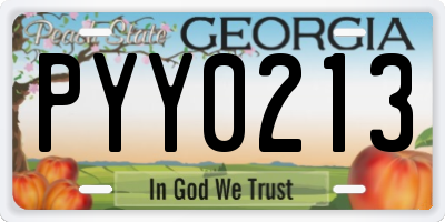 GA license plate PYY0213