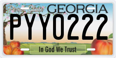 GA license plate PYY0222