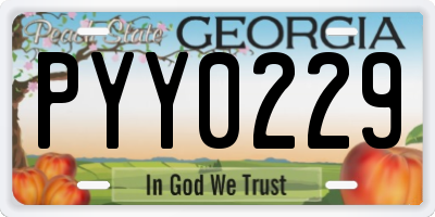 GA license plate PYY0229