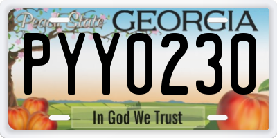 GA license plate PYY0230