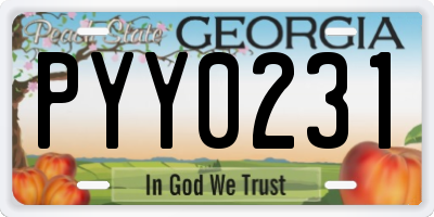 GA license plate PYY0231