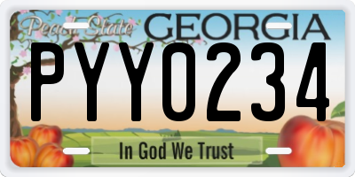 GA license plate PYY0234
