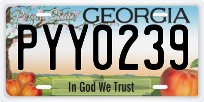 GA license plate PYY0239