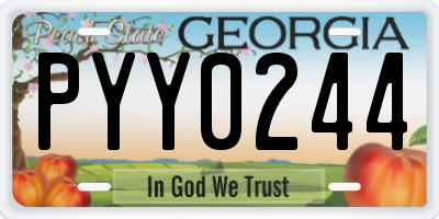GA license plate PYY0244