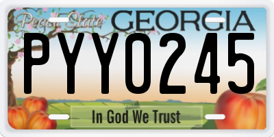GA license plate PYY0245