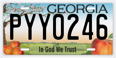 GA license plate PYY0246