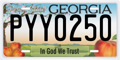 GA license plate PYY0250