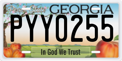 GA license plate PYY0255