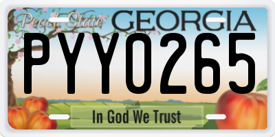 GA license plate PYY0265