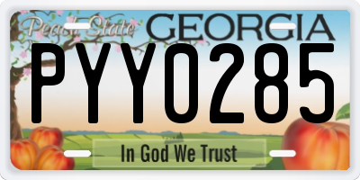 GA license plate PYY0285