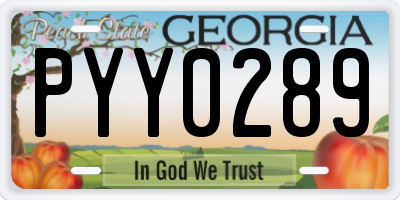 GA license plate PYY0289