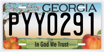 GA license plate PYY0291