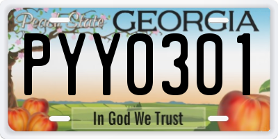 GA license plate PYY0301