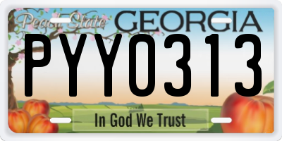 GA license plate PYY0313