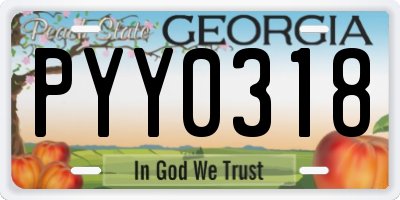 GA license plate PYY0318
