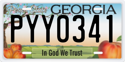 GA license plate PYY0341