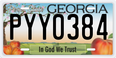 GA license plate PYY0384