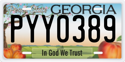 GA license plate PYY0389